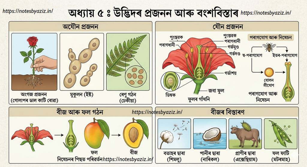Chapter 5: Reproduction in Plants (Summary Note)
