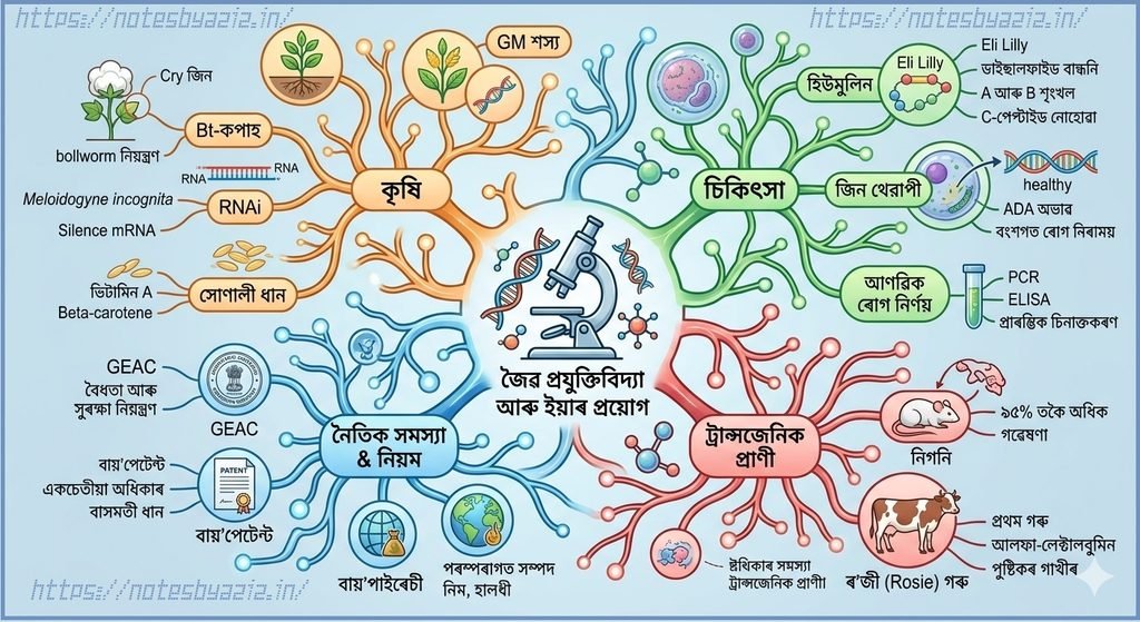 Biotechnology and its Applications Summary in Assamese