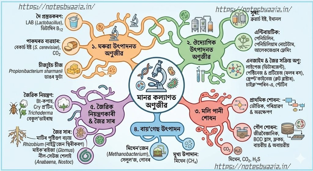 Microbes in Human Welfare Summary In Assamese