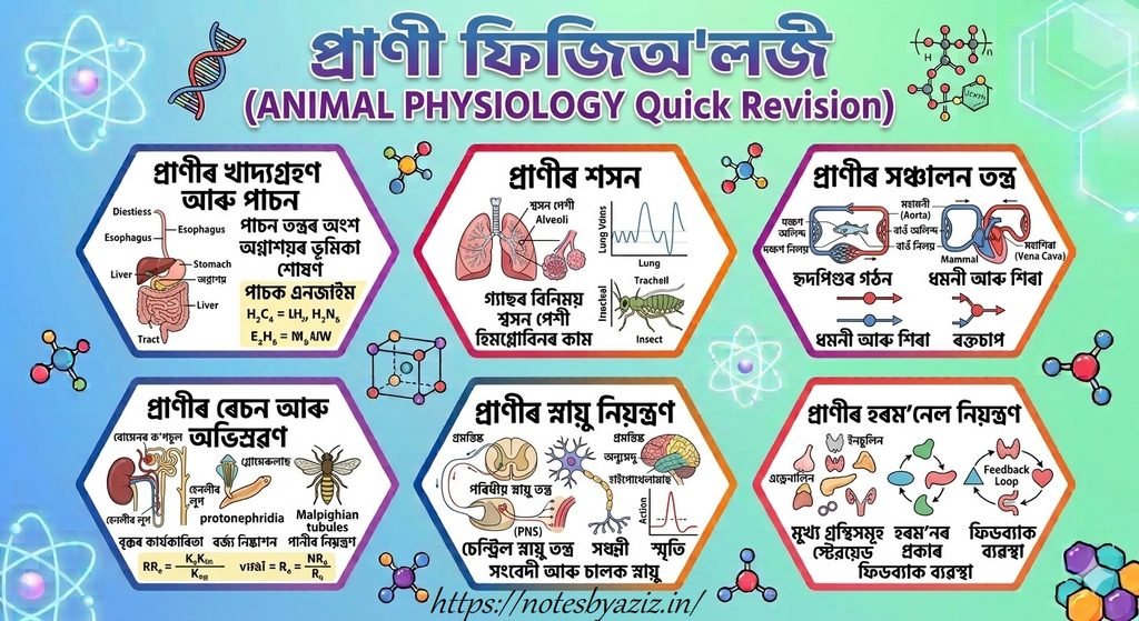 Animal Physiology In Assamese